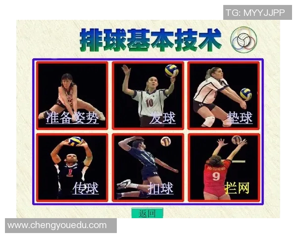 武汉排球队灵活性分析:技术战术与团队协作的完美结合 武汉排球队灵活性分析:技术战术与团队协作的完美结合