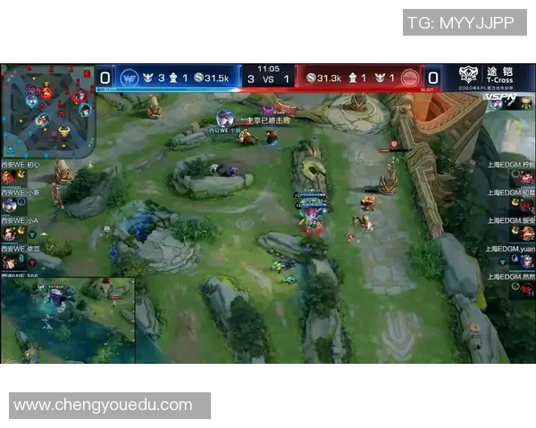 赛后分析：EDG与WE对决中的战术运用与技术细节探讨