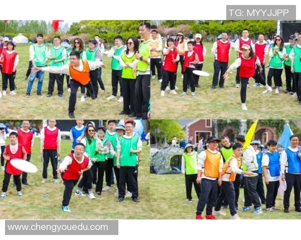 飞盘团队协作实力排行榜揭晓各队表现一览无遗