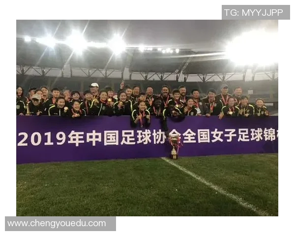 南京足球队个人能力全面解析与大满贯赛事表现评估