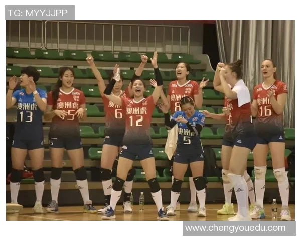 深圳排球队在排球比赛中创下新高经验排名再创新纪录 深圳排球队在排球比赛中创下新高经验排名再创新纪录