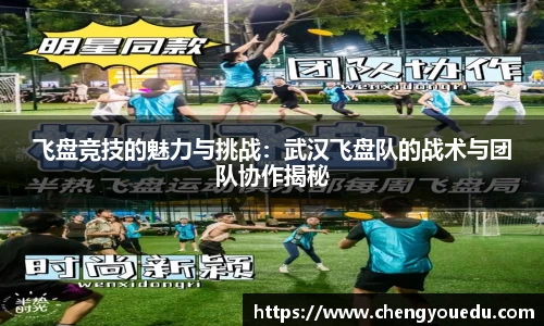 飞盘竞技的魅力与挑战：武汉飞盘队的战术与团队协作揭秘