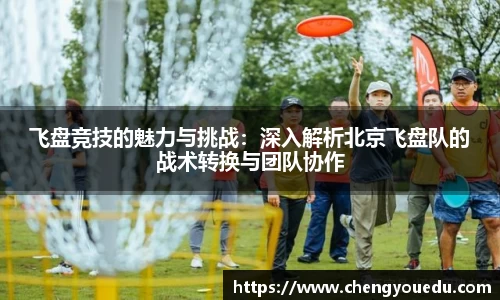 飞盘竞技的魅力与挑战：深入解析北京飞盘队的战术转换与团队协作